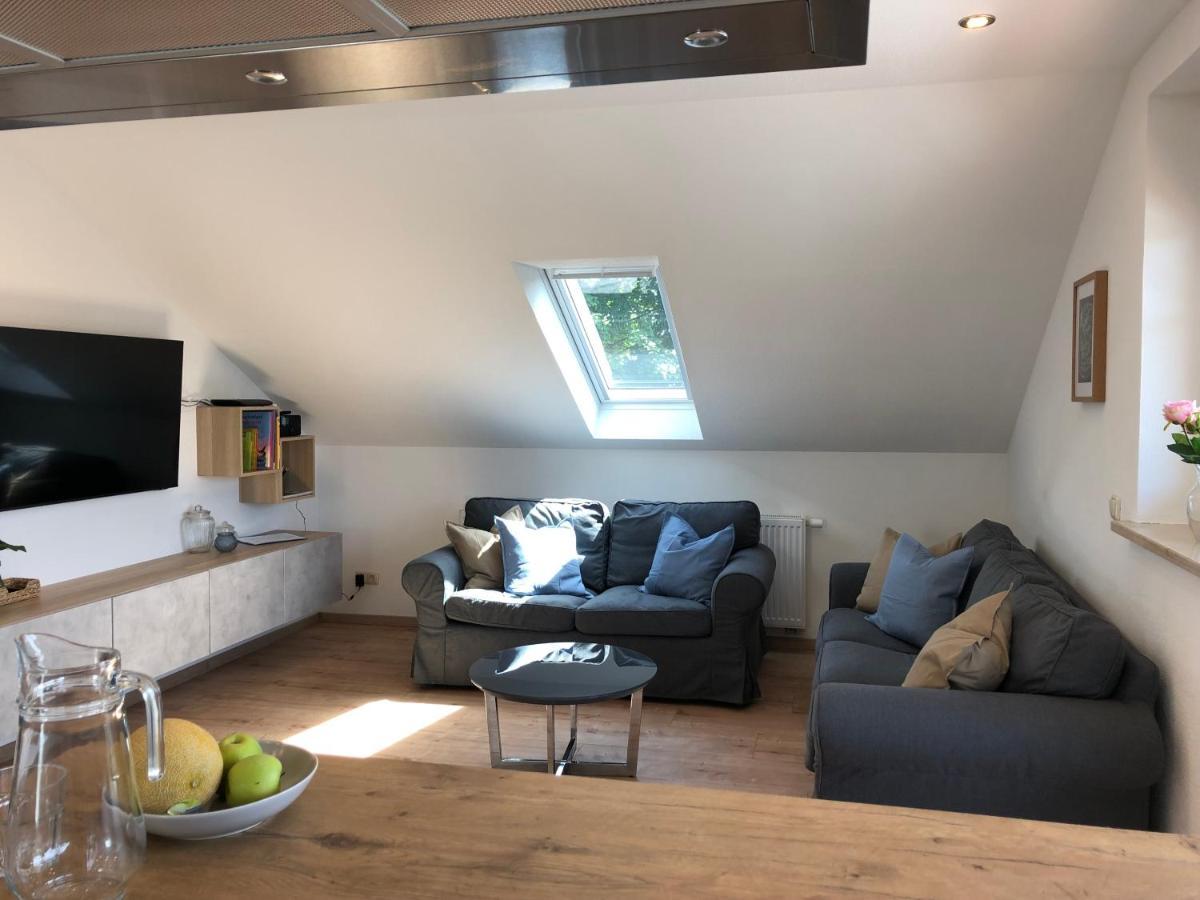 Haus Am Spitalgarten Fuer 10 Personen Gundelfingen an der Donau Zewnętrze zdjęcie